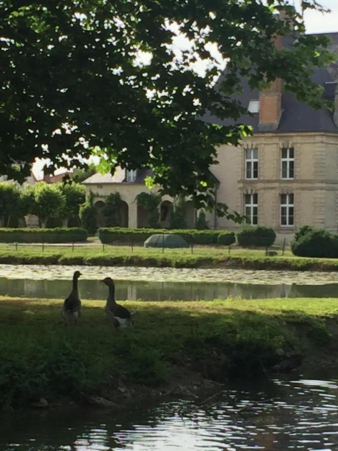 Chateau De Vitry-La-Ville Eksteriør bilde